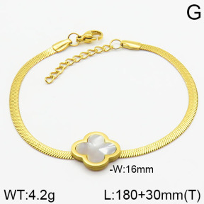 Stainless Steel Bracelet  2B4001324aajo-413