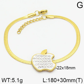 Stainless Steel Bracelet  2B4001330baka-413