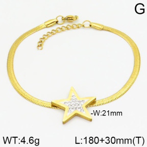 Stainless Steel Bracelet  2B4001334baka-413