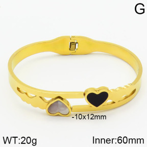 Stainless Steel Bangle  2BA400459bbmo-413