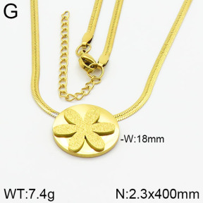 Stainless Steel Necklace  2N2001124aako-413