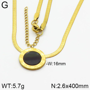 Stainless Steel Necklace  2N4000718ablb-413