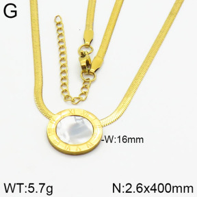 Stainless Steel Necklace  2N4000719ablb-413