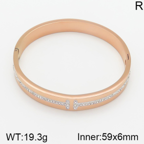 Stainless Steel Bangle  5BA400715vhov-473