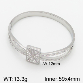 Stainless Steel Bangle  5BA400722ahlv-473