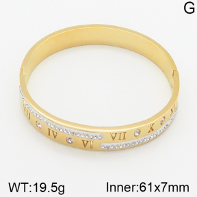 Stainless Steel Bangle  5BA400733ahpv-473