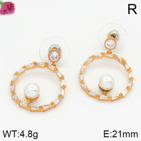 Fashion Earrings  F2E400423vhkb-K69