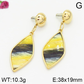 Fashion Earrings  F2E400429bhia-K69