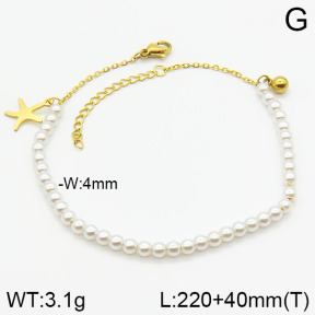 Stainless Steel Anklets  2A9000585vbmb-610