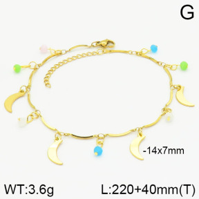 Stainless Steel Anklets  2A9000589vbnb-610