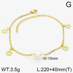 Stainless Steel Anklets  2A9000602vbmb-610