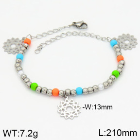 Stainless Steel Bracelet  2B3000897bvpl-610