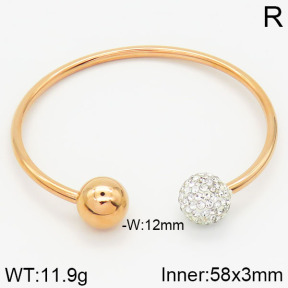 Stainless Steel Bangle  2BA400465ahjb-722