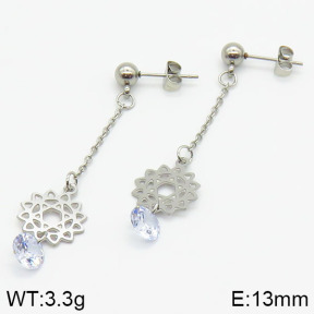 Stainless Steel Earrings  2E4001252ablb-610