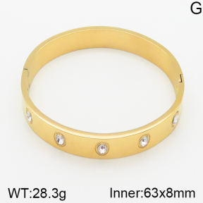 Stainless Steel Bangle  5BA400794vhhl-306