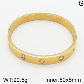 Stainless Steel Bangle  5BA400800vhha-306