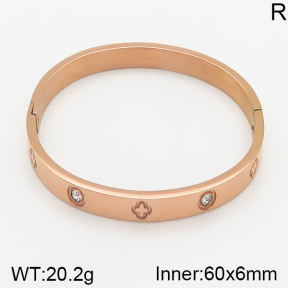 Stainless Steel Bangle  5BA400801vhha-306