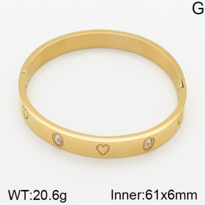 Stainless Steel Bangle  5BA400802vhha-306