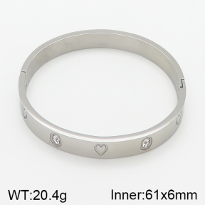 Stainless Steel Bangle  5BA400803bhva-306