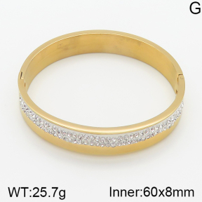 Stainless Steel Bangle  5BA400810ahjb-306