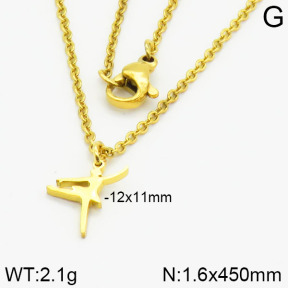 Stainless Steel Necklace  2N2001139baka-368