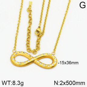 Stainless Steel Necklace  2N4000733ablb-355