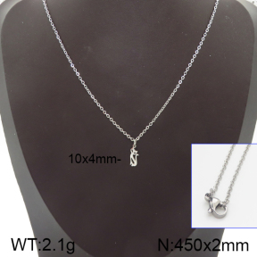 Stainless Steel Necklace  5N2001042vail-368