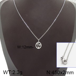 Stainless Steel Necklace  5N2001055vail-368
