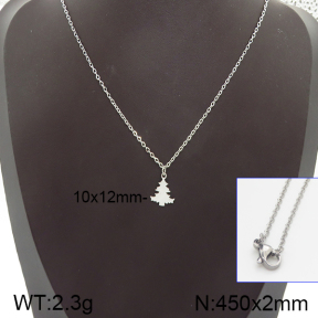 Stainless Steel Necklace  5N2001075vail-368