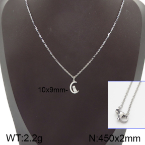Stainless Steel Necklace  5N2001080vail-368