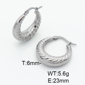 Stainless Steel Earrings  (Clear Inventory)  6E2005576ablb-900