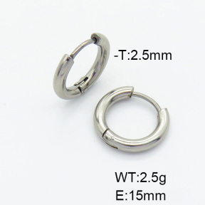Stainless Steel Earrings  (Clear Inventory)  6E4003354vaia-900