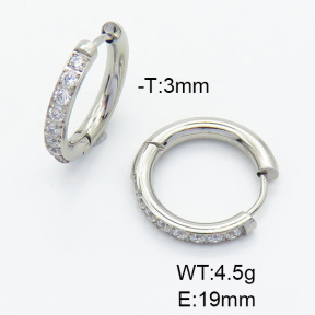 Stainless Steel Earrings  (Clear Inventory)  6E4003357vbnb-900