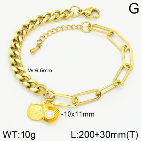 Stainless Steel Bracelet  2B3000907vbnl-436