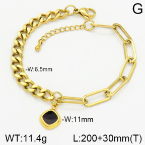 Stainless Steel Bracelet  2B3000915vbnl-436