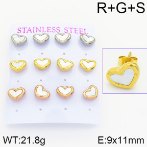 Stainless Steel Earrings  2E3000681biib-436