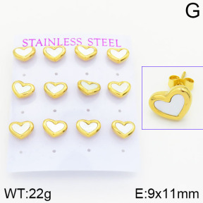 Stainless Steel Earrings  2E3000683biib-436