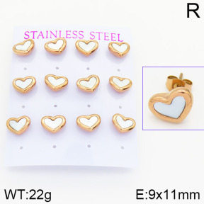 Stainless Steel Earrings  2E3000684bika-436