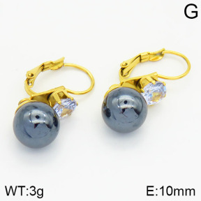 Stainless Steel Earrings  2E3000689aajl-420