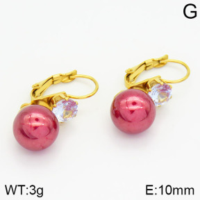 Stainless Steel Earrings  2E3000693aajl-420