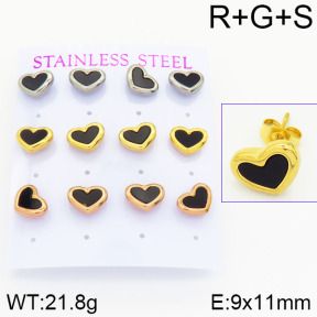 Stainless Steel Earrings  2E4001260vhov-436
