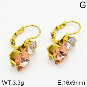 Stainless Steel Earrings  2E4001288aajo-420