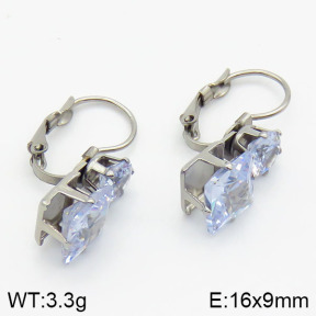 Stainless Steel Earrings  2E4001290aajl-420