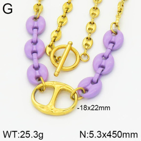 Stainless Steel Necklace  2N3000533vhov-656