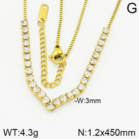 Stainless Steel Necklace  2N4000759vbpb-617