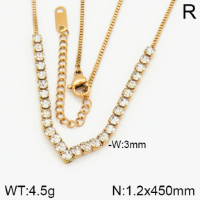 Stainless Steel Necklace  2N4000760vbpb-617