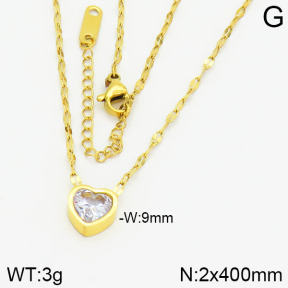 Stainless Steel Necklace  2N4000765bbov-617
