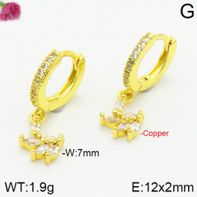 Fashion Copper Earrings  F2E400466abol-J147
