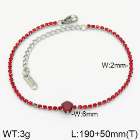 Stainless Steel Bracelet  2B4001411ablb-312