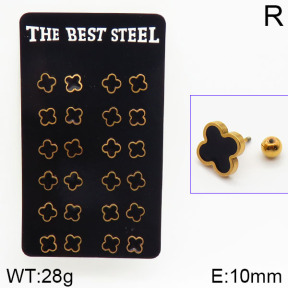 Stainless Steel Earrings  2E3000696amaa-256
